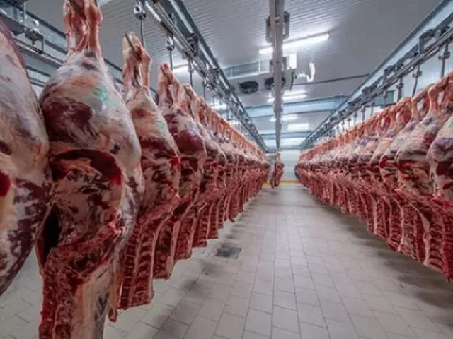 30 هزار تن گوشت منجمد گوساله برزیلی در راه ایران
